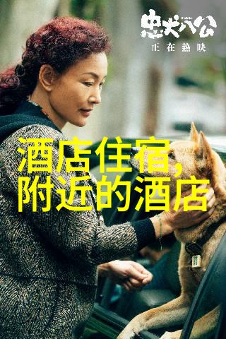 丰满邻居的温馨故事