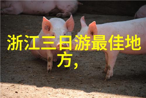 海南省博物馆展览介绍了解深层次文化内涵