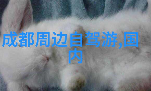 探秘故宫穿越时光的长廊