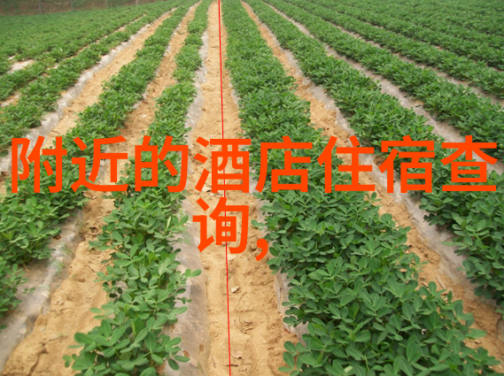 如何在上海被划为无症状居住地址区官方通报须知
