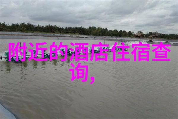 桂林山水甲天下揭秘那些只有夜晚才能见到的奇迹