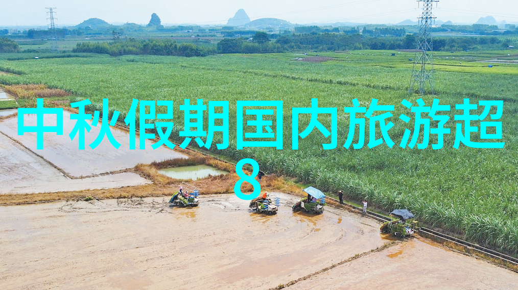 荒野求生与星光派对成人户外活动策划的反差之旅