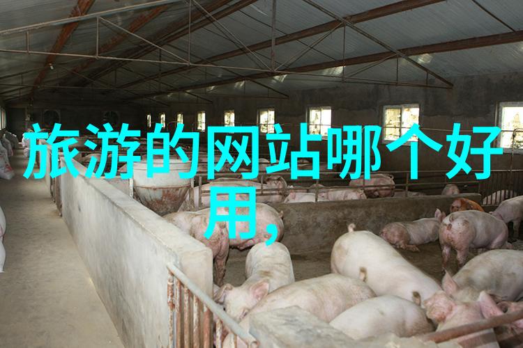 穿越时空的足迹探索古今文化遗迹的学术游记