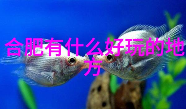 探索中国四小吃街的美味之旅从北京到广州品味不同地方的特色美食