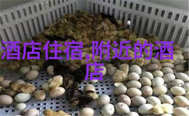 中国出境游复苏时刻国际旅行限制放宽