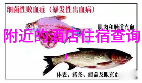 千岛湖畔的浪漫之旅2日游必备指南