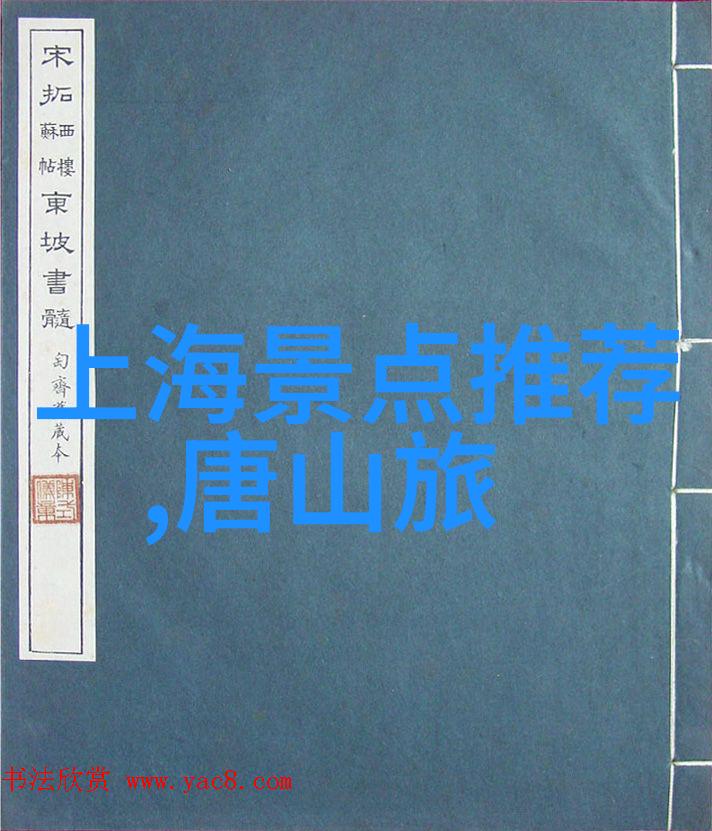 上海美食探秘品味当地人气餐厅的魅力