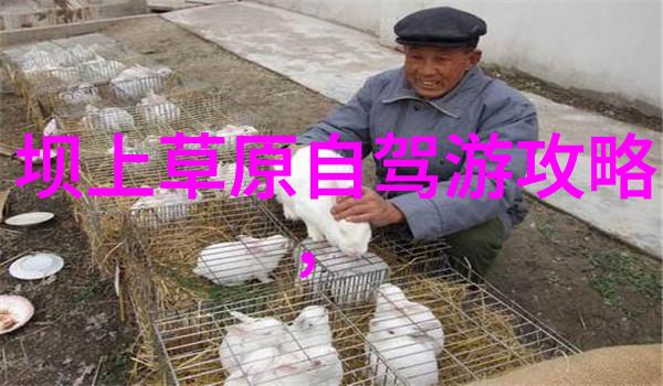 北京美食探秘品味小吃街的热土北京特色小吃体验