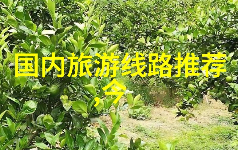 夏日炎炎去哪儿七八月的城市旅游大作战