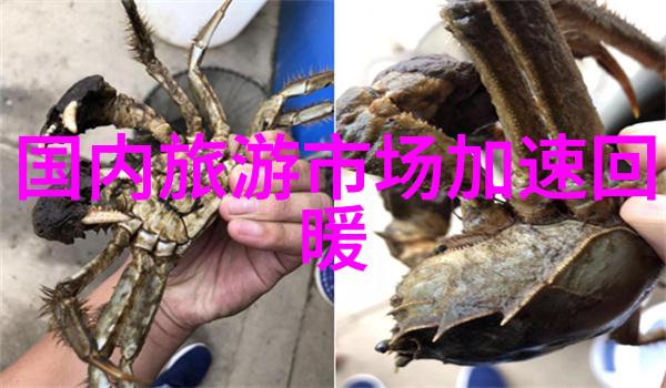 成都九寨沟春日漫步潭溪山上绽放的花海之旅