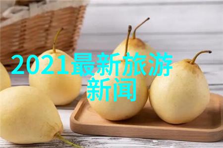 探索与发现四年级游记作文精选集