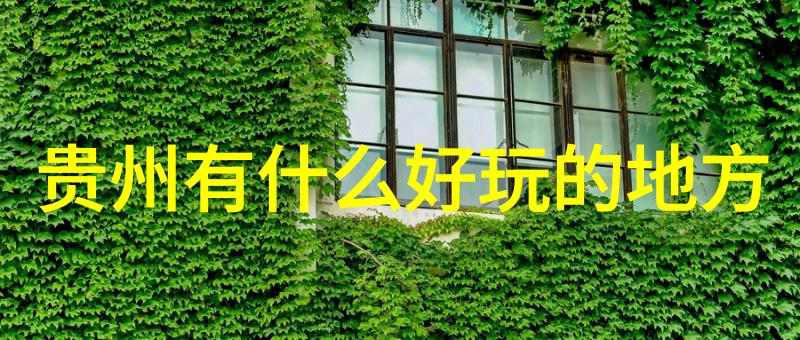 稻城亚丁旅游攻略来吧我带你探秘这片神奇的天地
