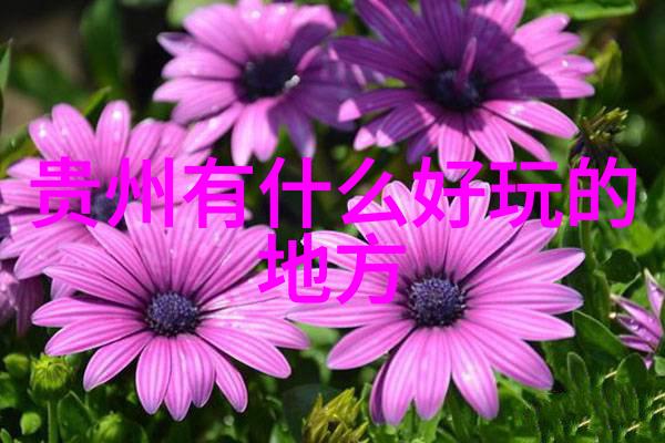 探索近郊奇迹上海周边最佳游玩胜地