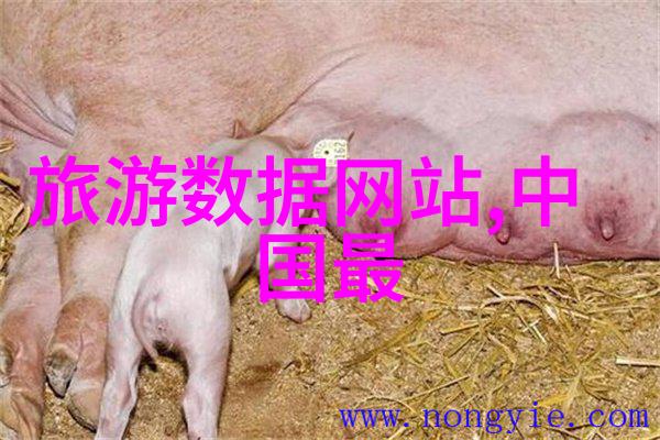 北京小吃街味蕾上的文化盛宴