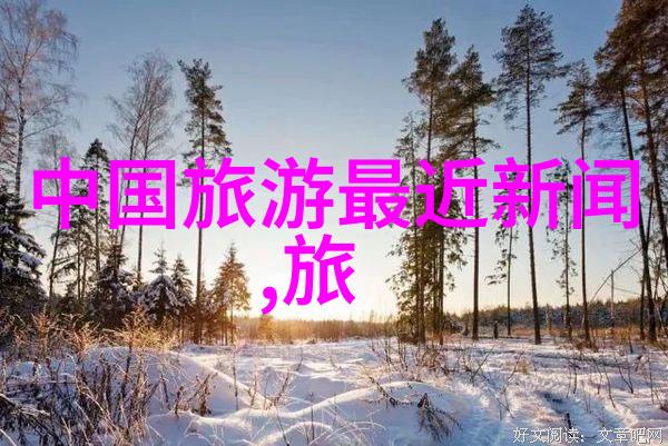 游记650字作文初二我的夏日海滩之旅