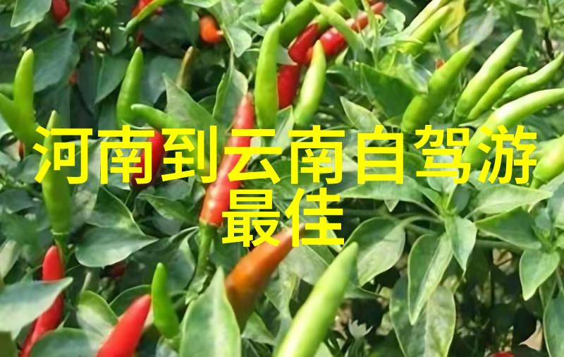 一碗浓汤半斤肉西安的特色快餐在哪里