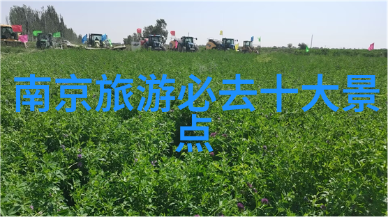 远方的足迹揭秘四大游记之谜