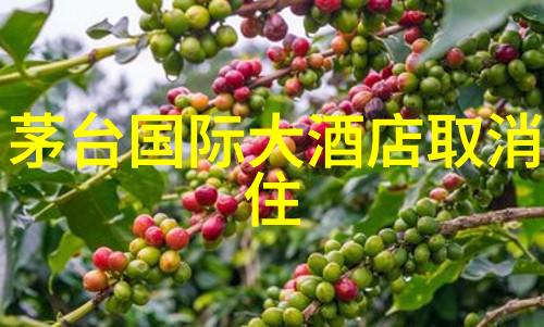 珠海旅行指南精选酒店推荐攻略