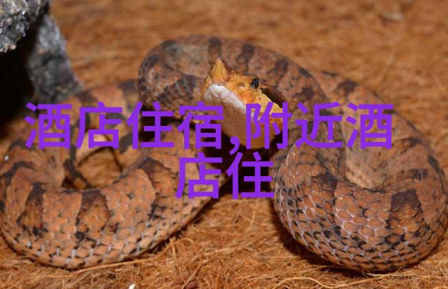 有哪些常见错误会阻碍新手骑手快速进步呢