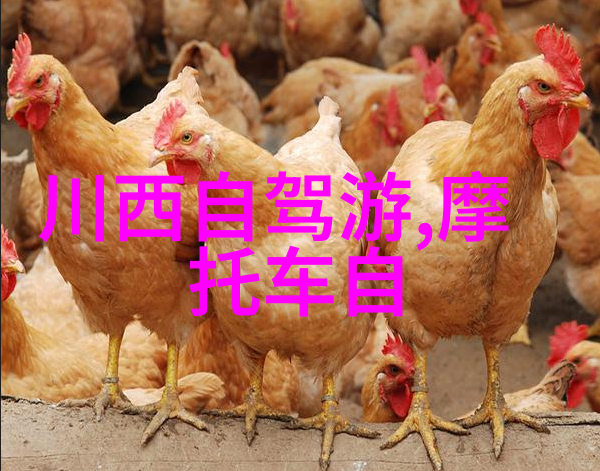 上海探秘寻找完美的住宿宝地
