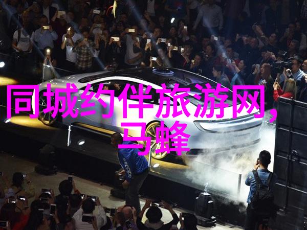 星光下的秘密舞会魅惑娱乐圈番外