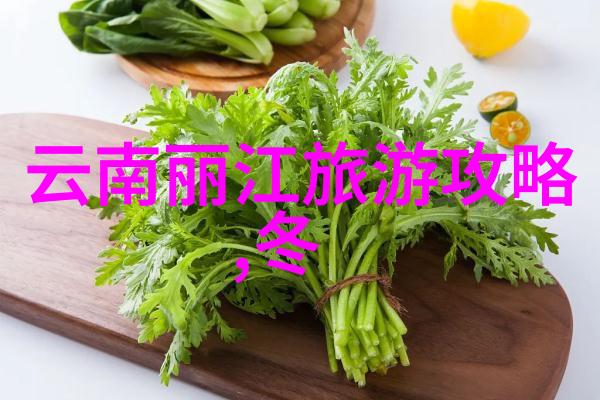 上海美食指南探索当地口味的官方应用程式