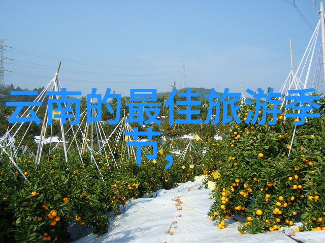 库伦沙漠游记初三作文中的800字探索