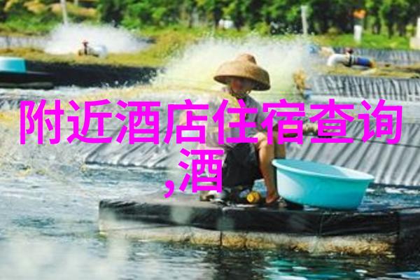 华山之旅探索陕西宝鸡的古老奇峰