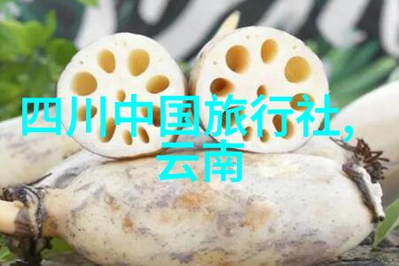 重庆旅游攻略5天探索千古江山的现代都市魅力