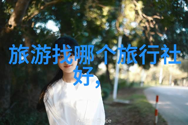 安全第一原则旅行期间如何避免常见骗子和安全隐患