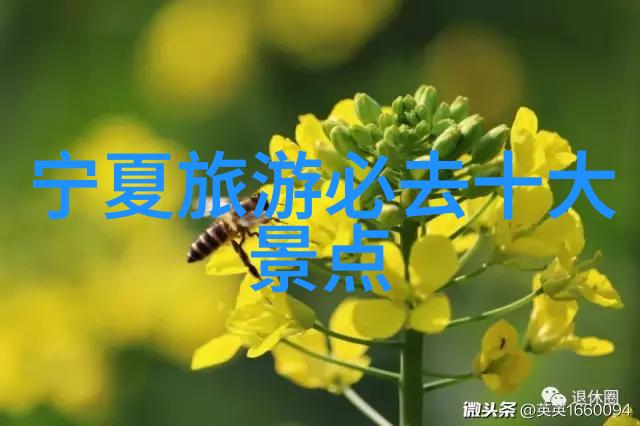 厦门二日游最佳方案旅游软件哪个最实用三种选择轻松玩转美丽岛