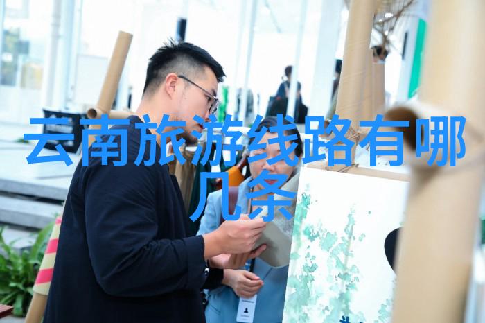 绽放的雪花之下探秘冬日最佳游城