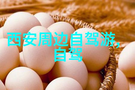 真千金靠玄学成为国宝古代宫廷中奇术成就的皇室遗产