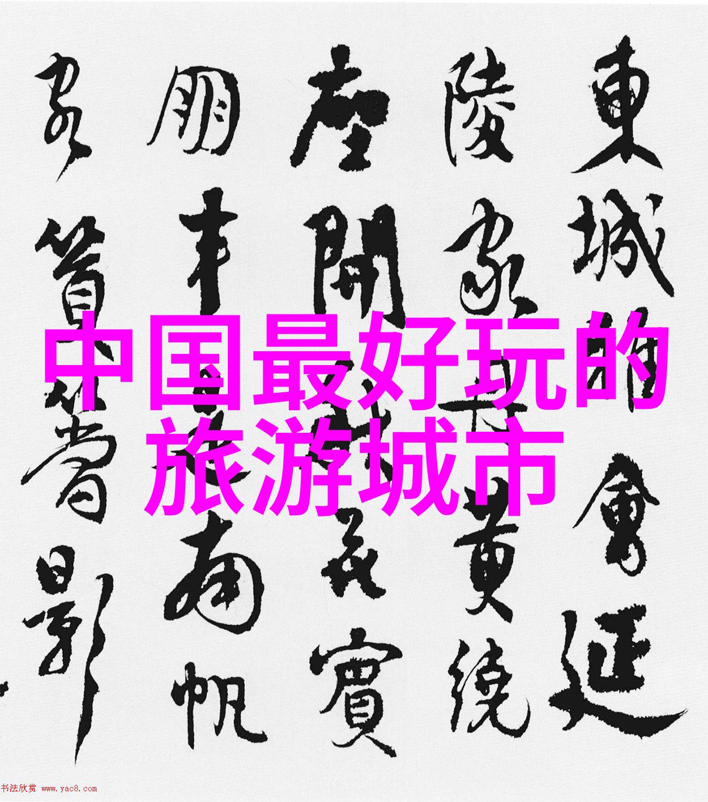 骑行app 知乎从地图到心路探秘那些骑友的智慧之旅