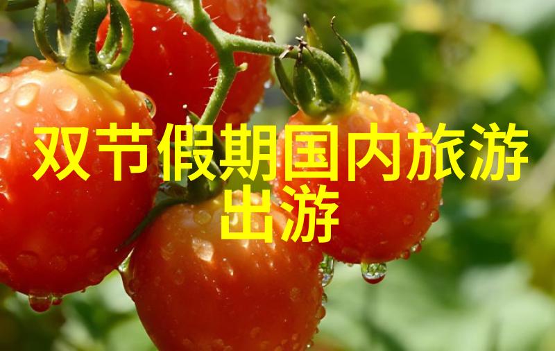 蜜桃日本免费看MV探秘
