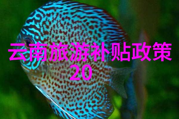 敦煌旅游攻略来到这座古城你该怎么玩