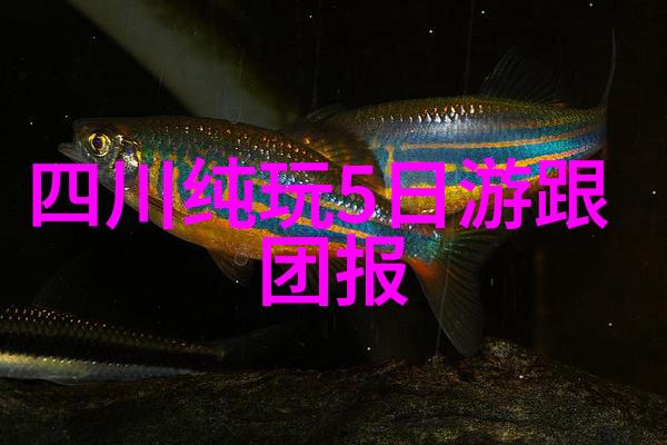 什么地方可以品尝到真正的上海小吃风味