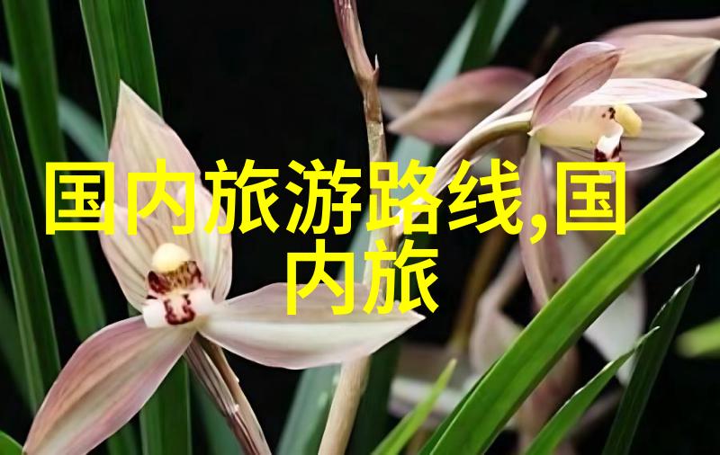 体验苏州独特魅力从狮子林到拙政园哪些景点绝对不能错过