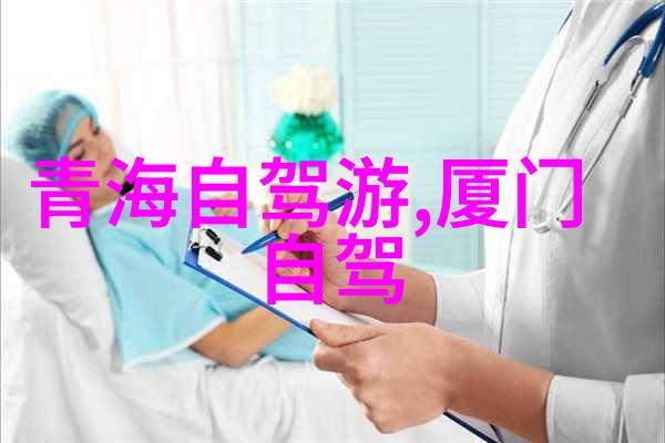穿越时空的旅者500字游记