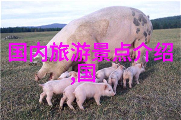 现在去哪里旅游最好玩又不贵来看看我这次的旅行攻略吧