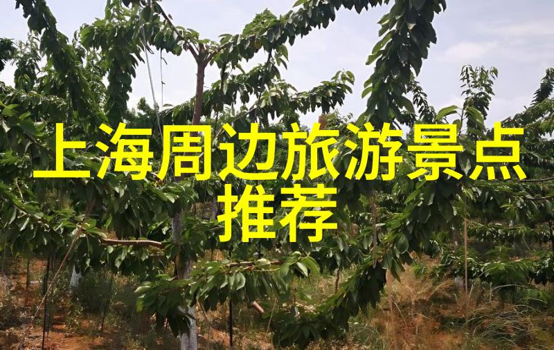 企业员工户外拓展活动总结我们一起走过的那片野地回顾一段精彩的团队旅程