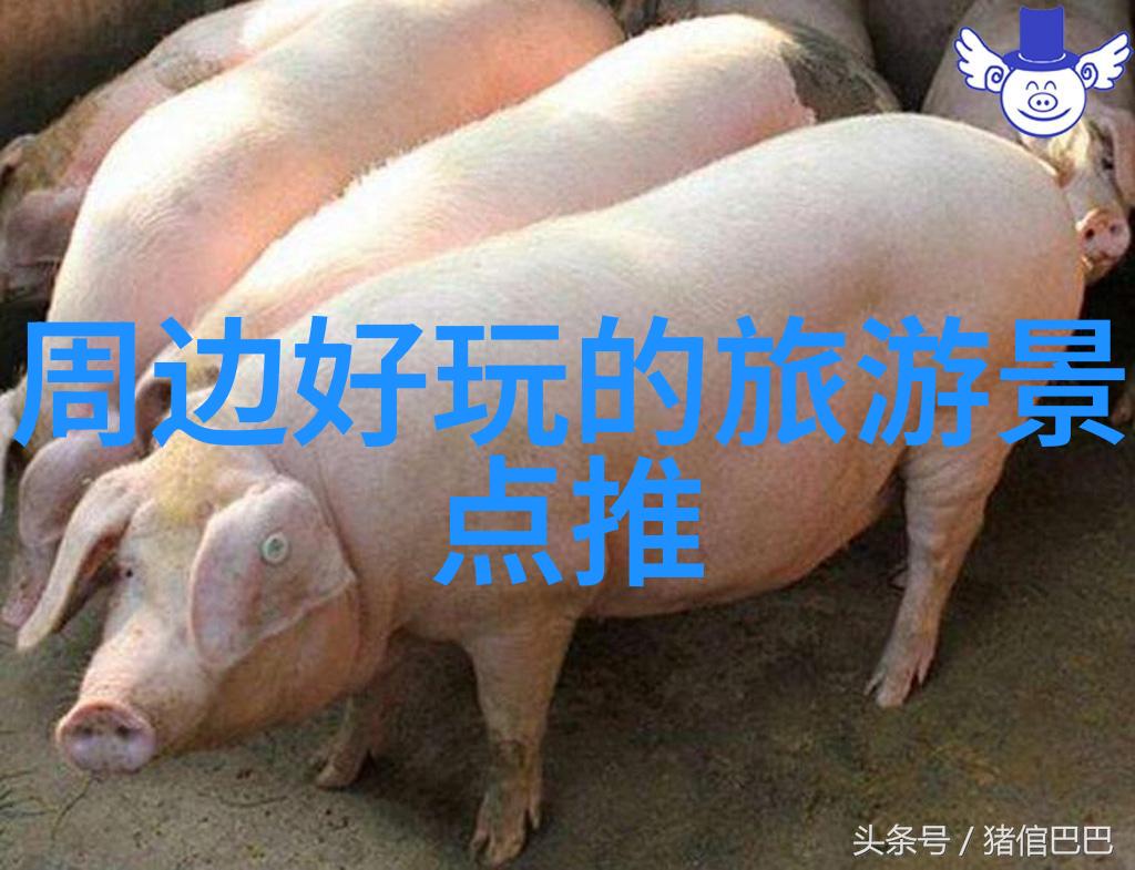 庐山风景探索江西古今胜地的魅力