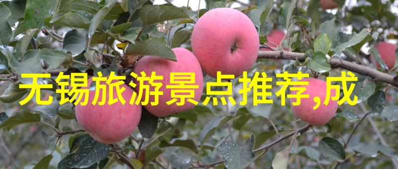 探秘古都的魅力北京故宫的历史与文化之旅