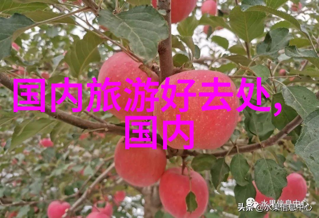 探索中国之旅跟踪古代帝王足迹的神秘线路