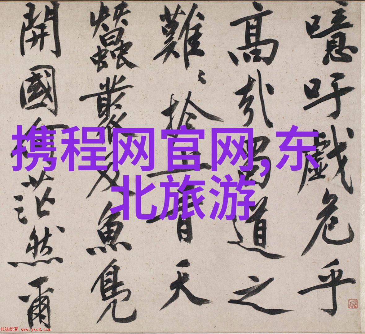 探秘奇境追逐云端之旅