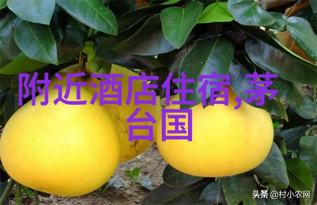 在长途行驶中怎样保持旅途的兴奋感