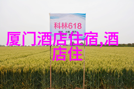 西安美食探秘一位旅行者的必吃十家饭馆