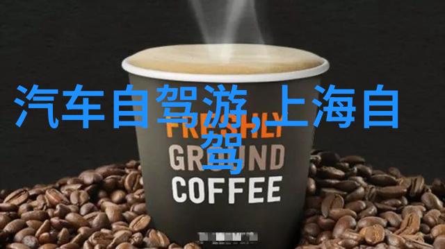 跨洋梦想探索世界之美
