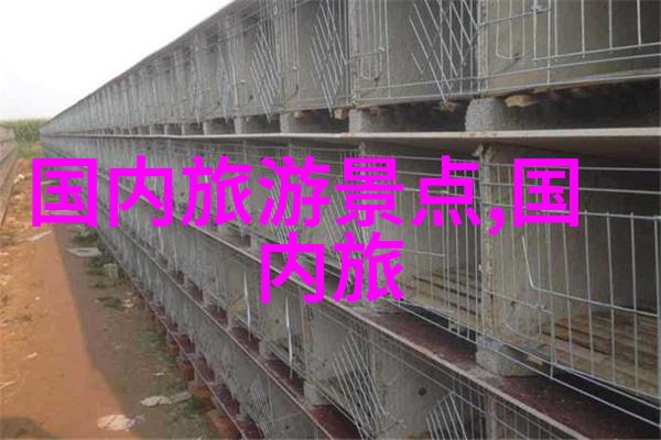24小时活力都市探索上海深度旅游目的地