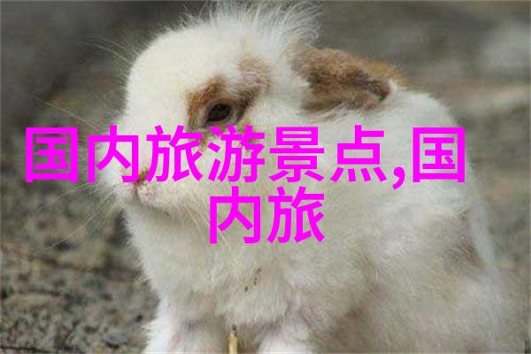 桂林山水甲天下自驾游的奇遇与心情